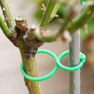 50-Piece Garden Plant Clip Pack